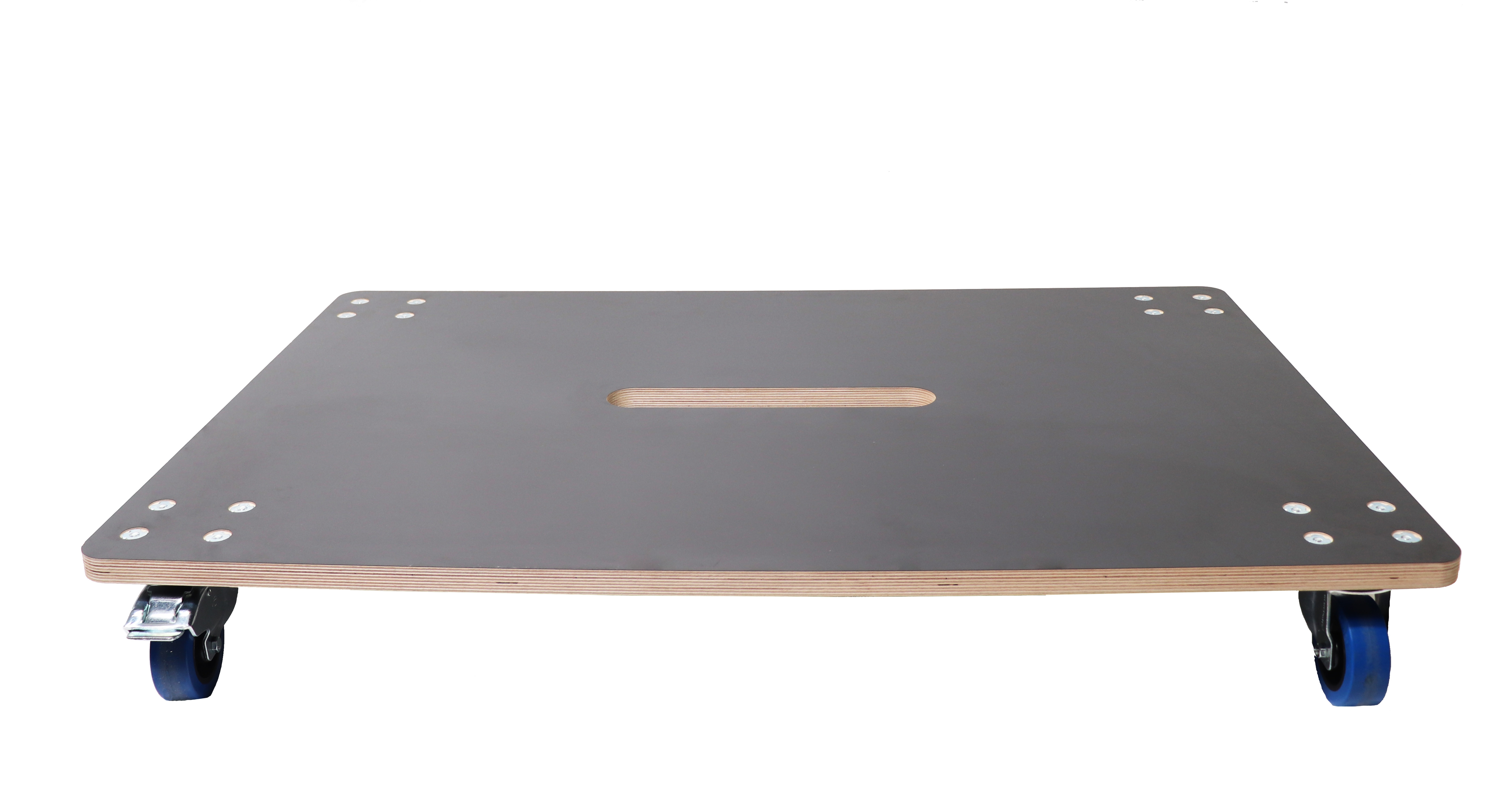 Tego Pro Rollbrett 120x80cm