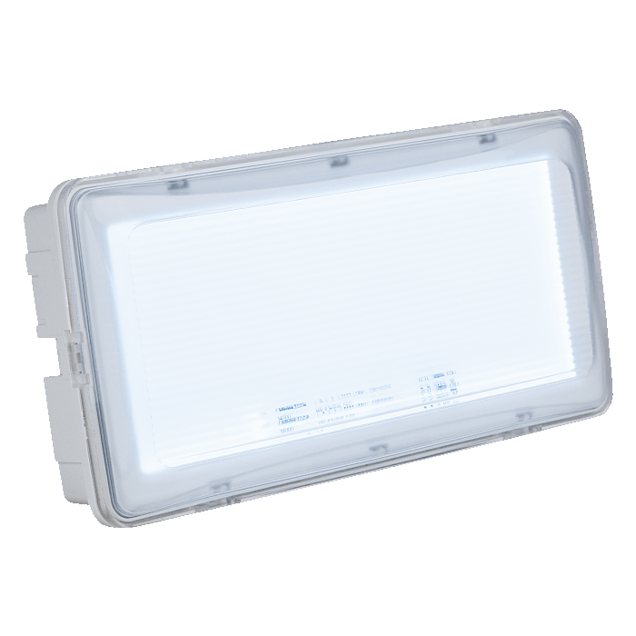 Showtec Safeled Emergencylight