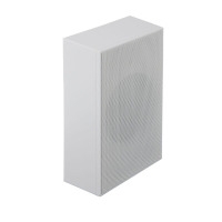WS-6W 6W Wall mount speaker white