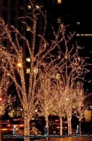 Showtec LED Rubber String 100 LEDs Warmweiß 10 M.