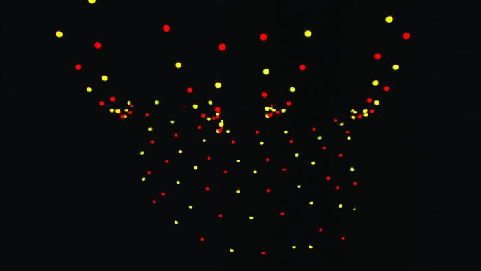 Showtec Festoonlight Q4 Booster, 4 - 6 Lichtketten